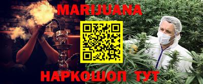 индика Рузаевка