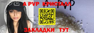 индика Рузаевка