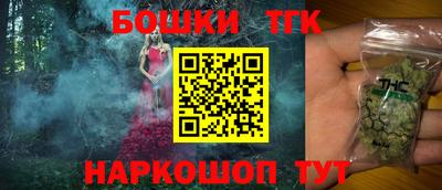 индика Рузаевка