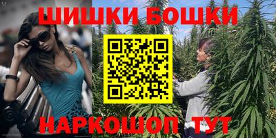 индика Рузаевка